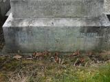 image of grave number 196557